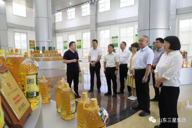 山東省商務(wù)廳電子商務(wù)處處長(zhǎng)朱希昕一行來山東三星集團(tuán)參觀調(diào)研