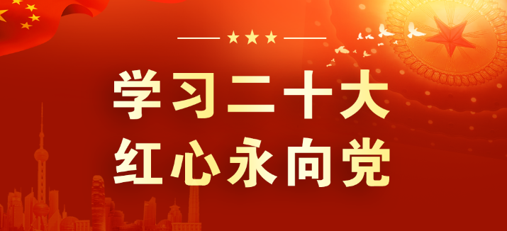 山東三星集團(tuán)：學(xué)習(xí)領(lǐng)會(huì)二十大 征程踏新永前行