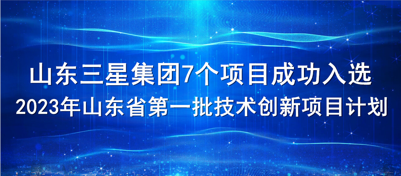 喜報(bào)！山東三星集團(tuán)7個(gè)項(xiàng)目成功入選2023年山東省第一批技術(shù)創(chuàng)新項(xiàng)目計(jì)劃